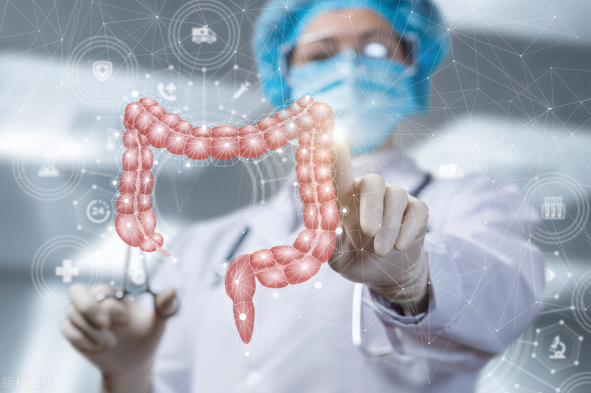 肠道健康与膳食纤维和益生菌,关注肠道益生菌平衡