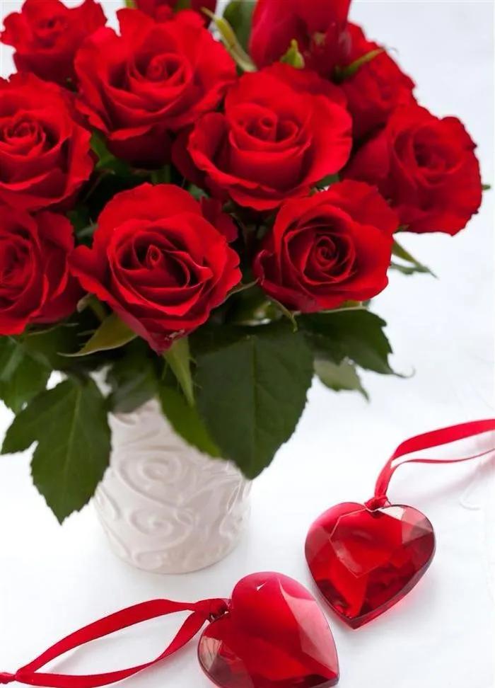 520浪漫玫瑰花壁纸,红玫瑰花壁纸大图