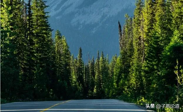 你怎么争也争不过天小视频,你怎么争都争不过天道