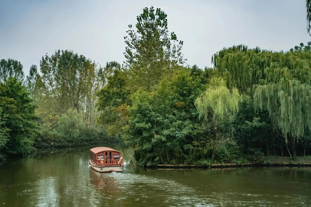 扬州值得推荐的早茶,广东早茶和扬州早茶真的没法比