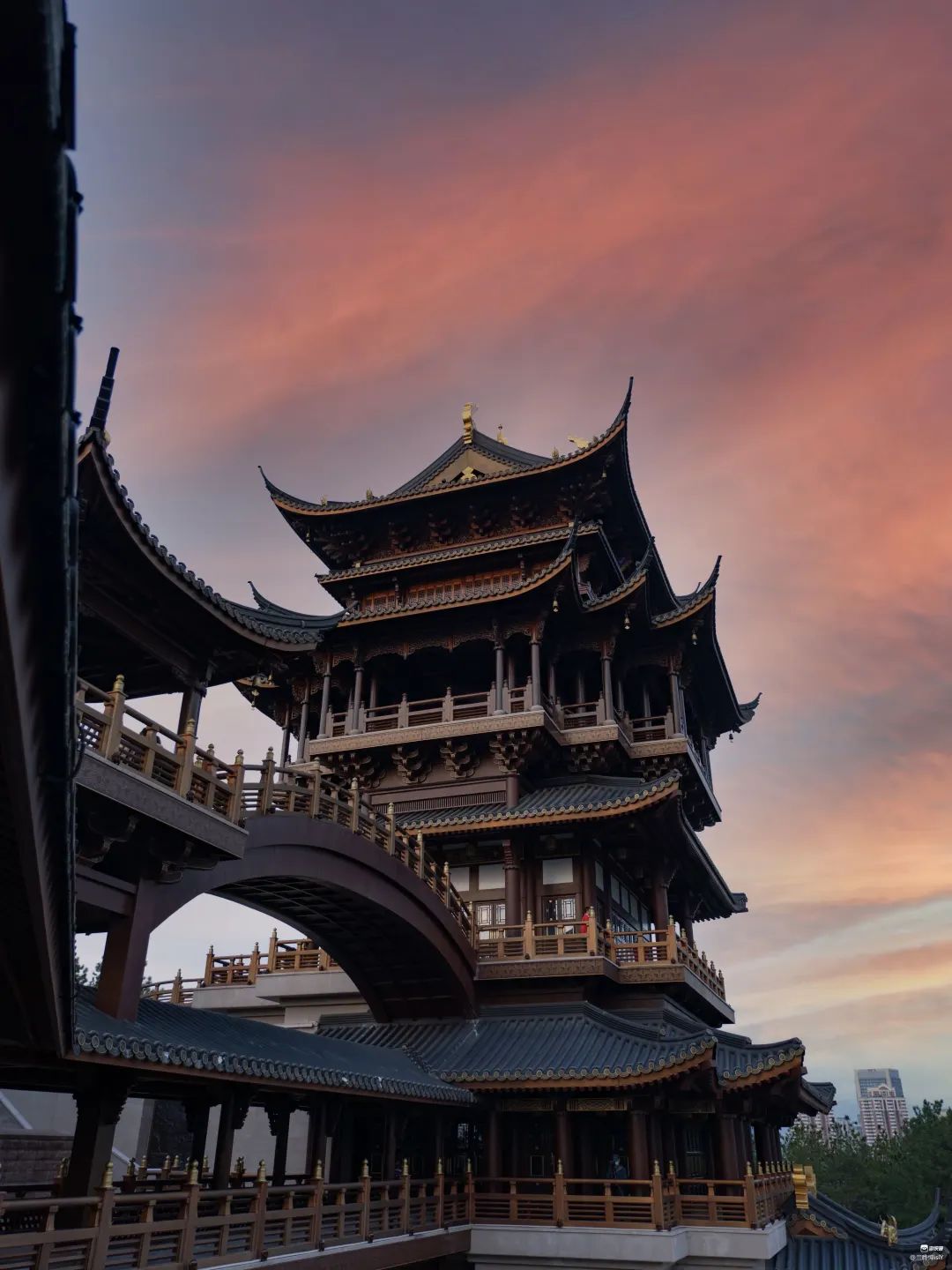 这座被赚钱耽误的浙江小县城，藏着无数吃货惦记的世界美食