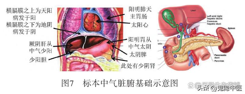 中医黄帝内经五运六气原文,黄帝内经五运六气详解