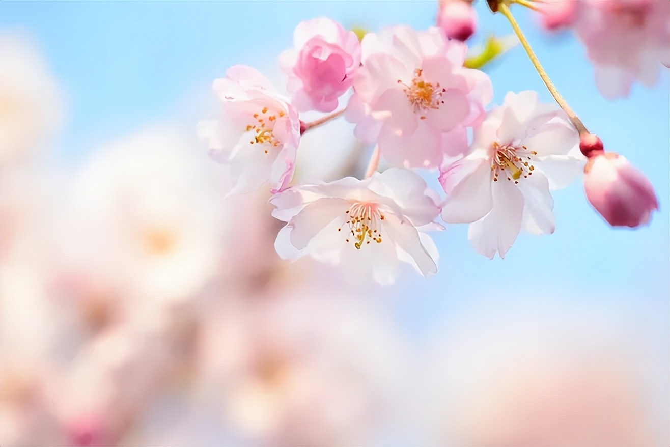 男人爱不爱你从对你称呼看得出,男人到底爱不爱你从称呼开始