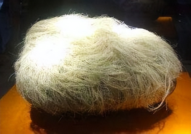 奇石长满白发的石头,1997年小伙花150元买石头专家鉴定