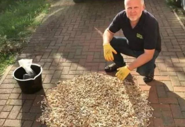 烟头真的可以回收利用吗,日本为何收购我国废烟头