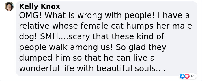 “同性恋”小狗被恐同主人遗弃，因祸得福，找到新的同性恋家庭