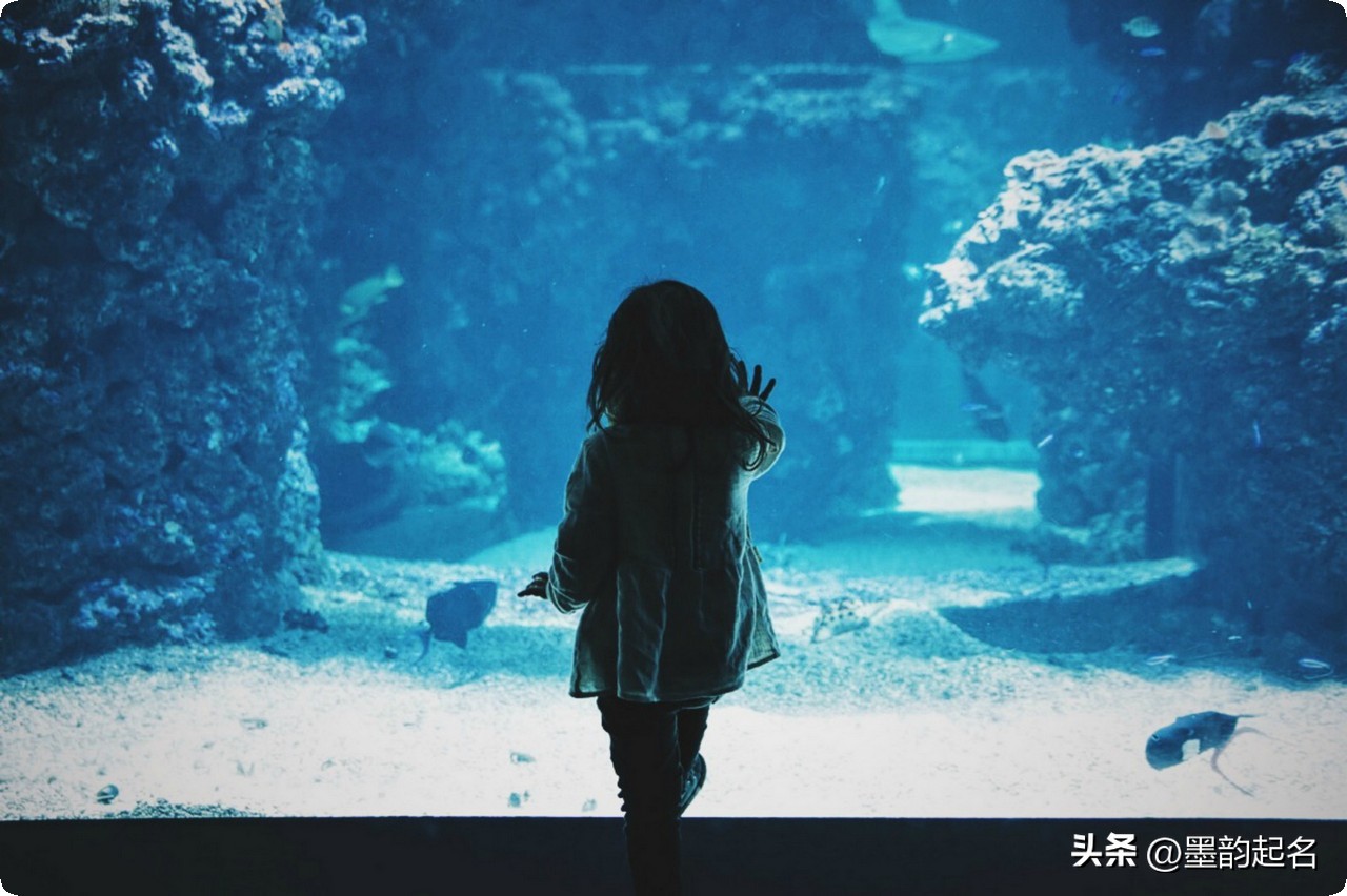 二月二女宝宝起名字,二月生的宝宝取名女孩大全