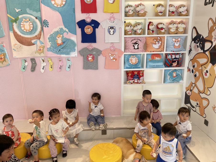 深圳开了一家柯基主题咖啡屋,柯基宠物咖啡馆