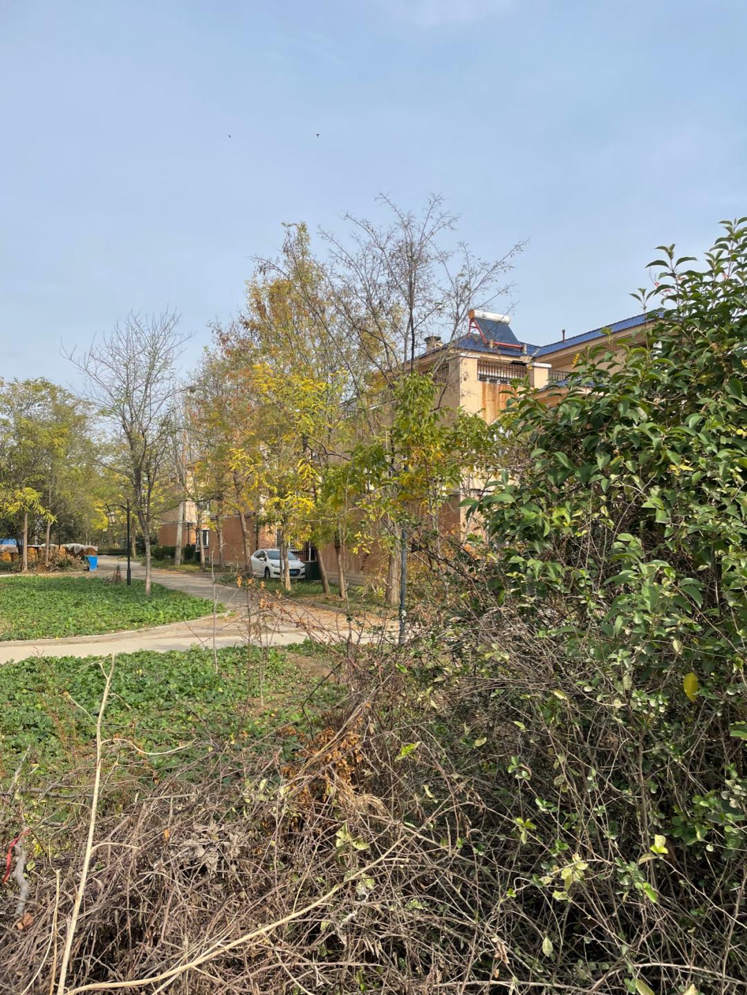 董董骑行山东,懂懂骑山东