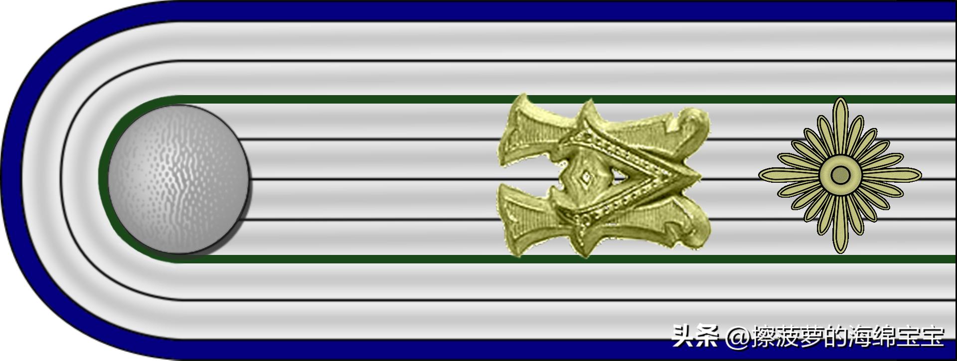 二战德国国防军医疗兵军衔标志