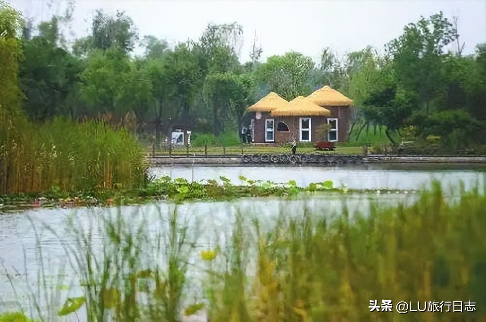 济南森林公园跑步路线推荐,济南跑步路线推荐