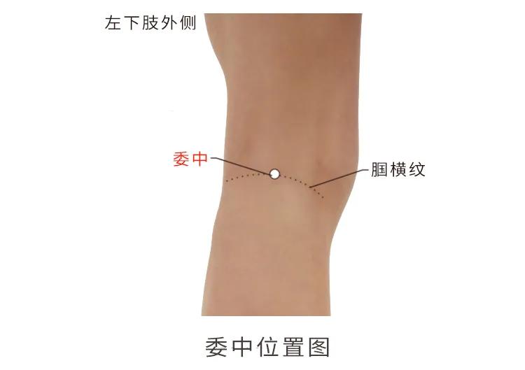 端午祛百病身安康,端午时节驱五毒