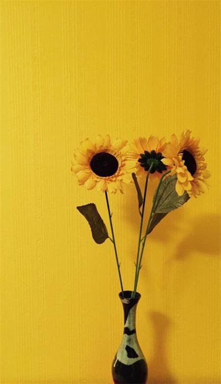 逐光而行向阳而生散文,守心自暖向阳而生的散文