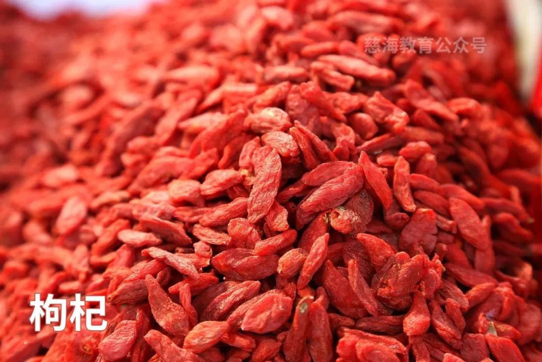比枸杞子补肾更厉害的中药,每天学一味中药枸杞子