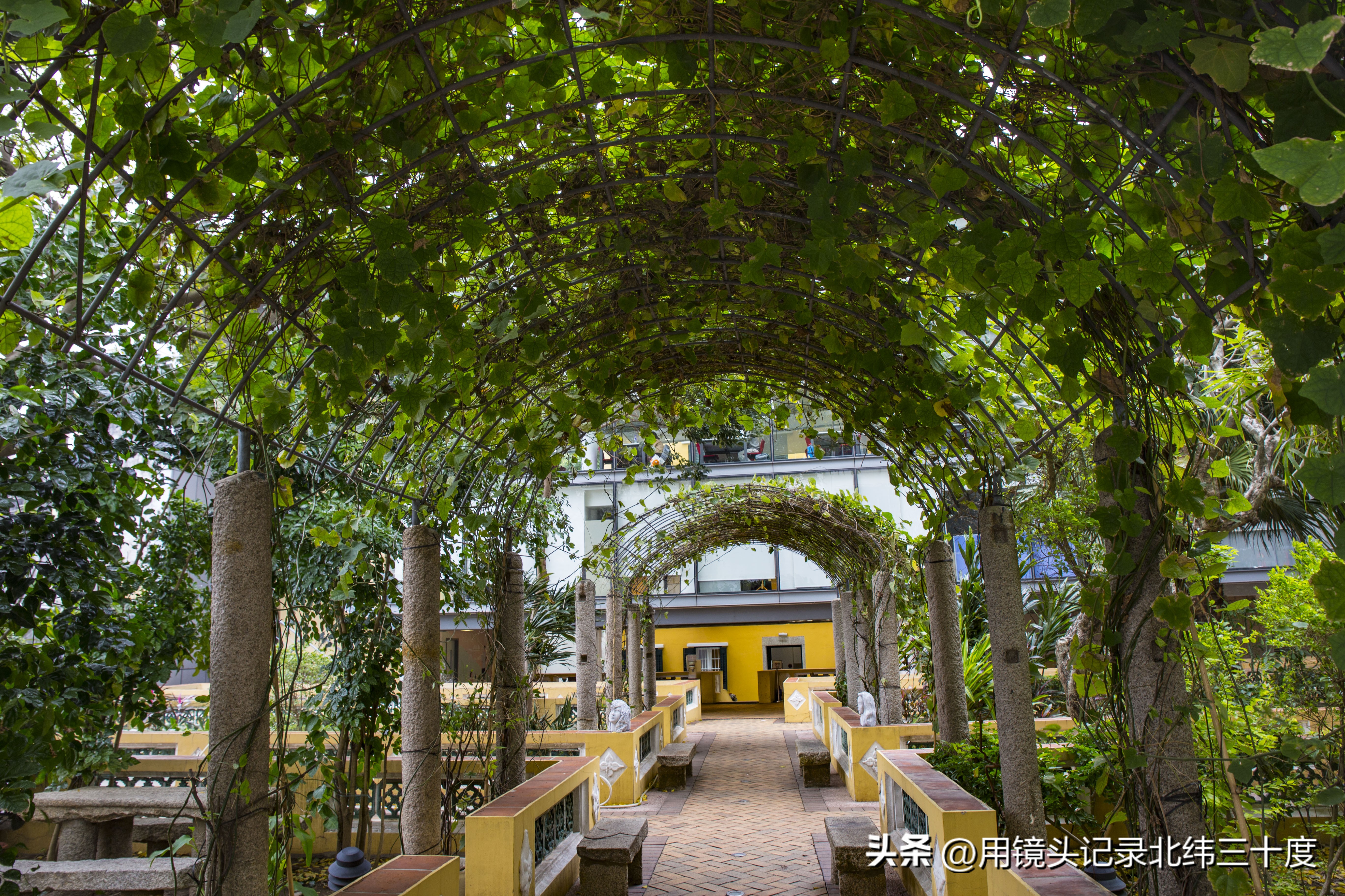 【澳门】一天打卡澳门世遗路线（中）