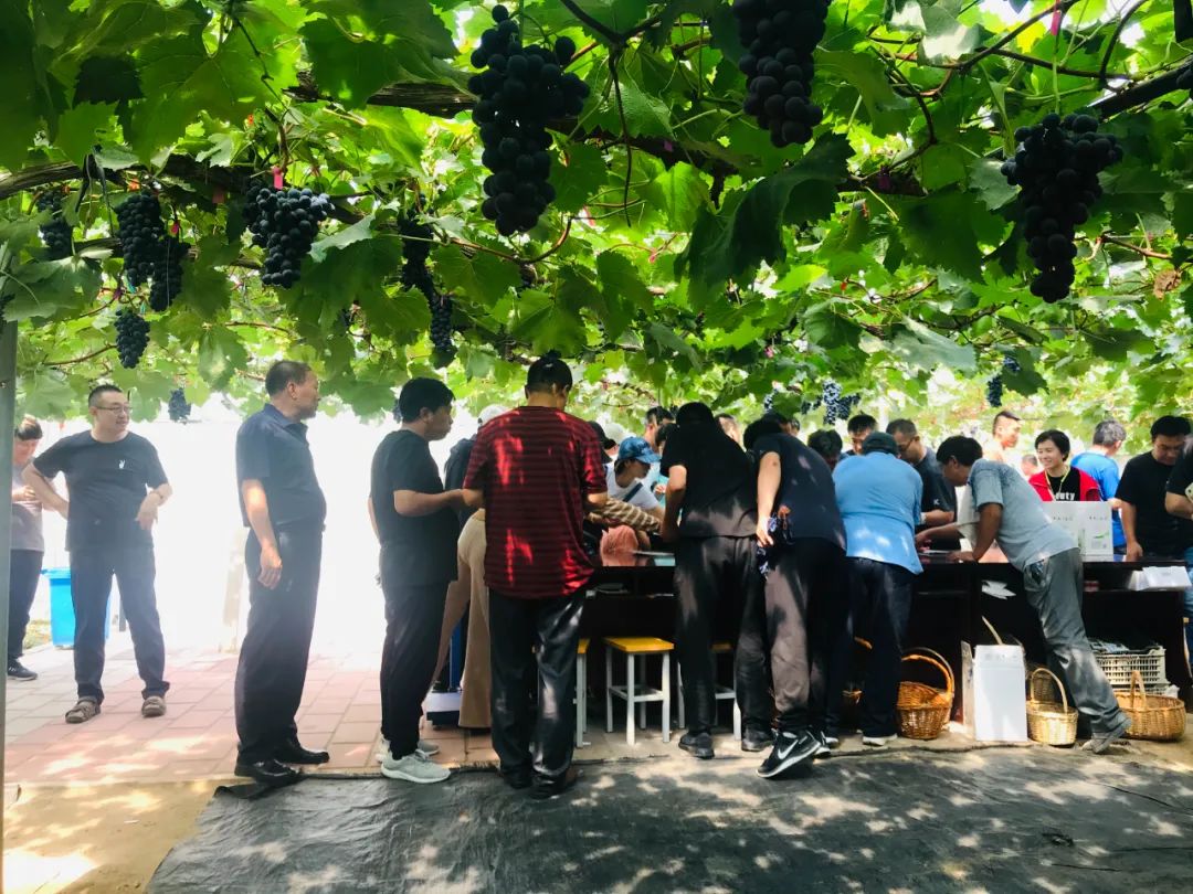 休闲农业和乡村旅游线路图,休闲农业旅游线路推荐