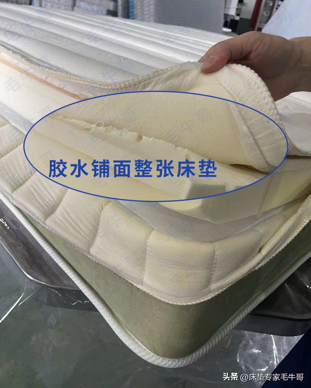 千元床垫到底值不值得买,618不踩雷的东西