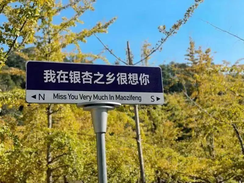 閲戠鍗佹湀鍥藉簡涓鍋囨湡浣忓鏀荤暐,閲戠涔嬬害