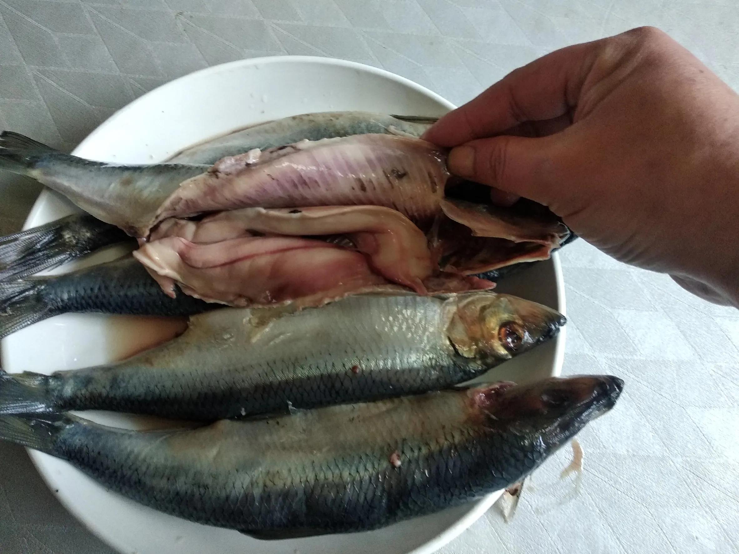 适合四月吃的海鱼有哪几种,这个季节适合吃什么样的海鱼