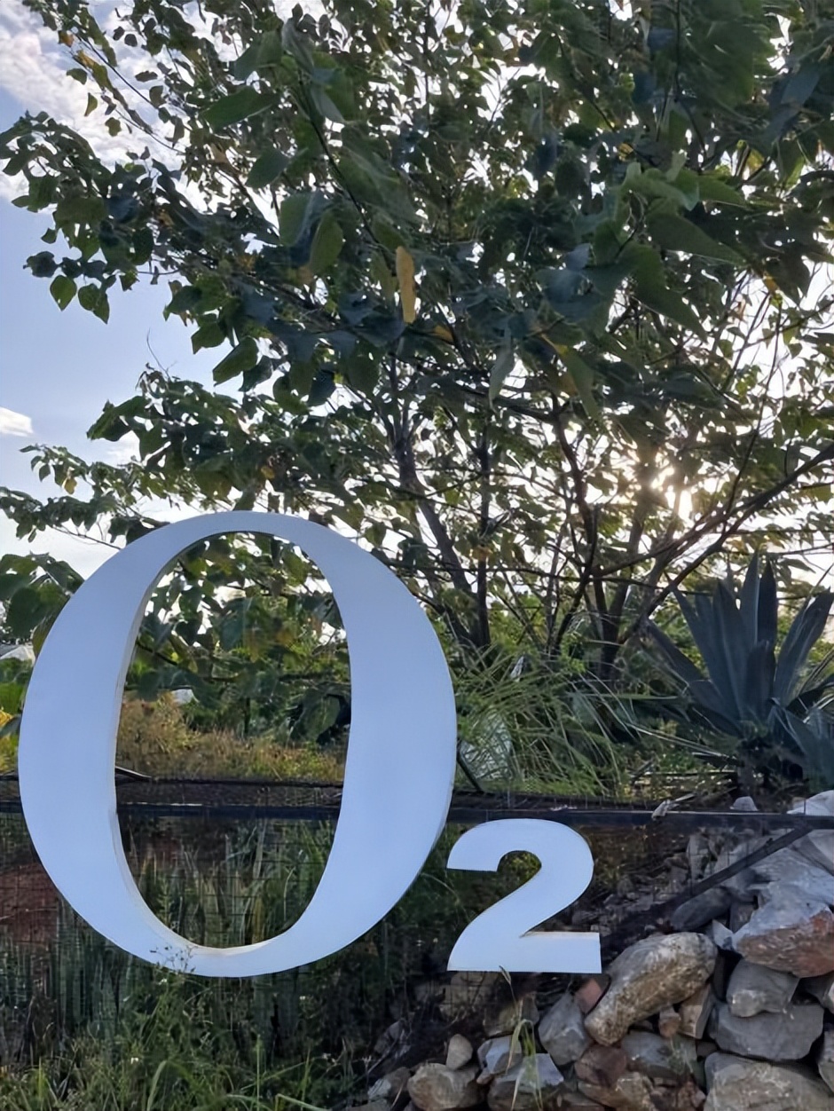 去蒙自难忘的一次旅行,云南蒙自之旅