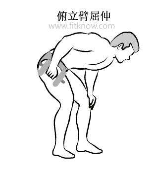 哑铃是公认的健身神器,健身基础器材哑铃