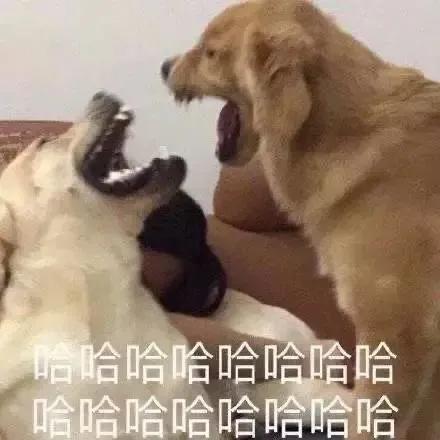 聪明水动画,聪明水的功效和作用