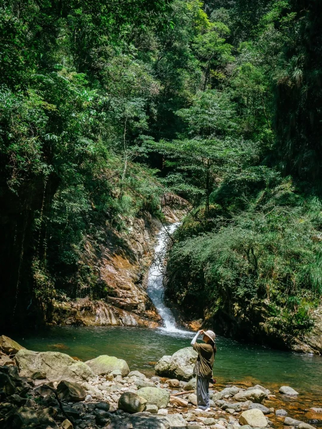 如何了解武夷山茶,探寻武夷