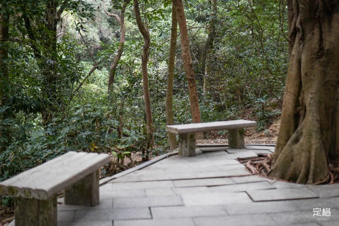 深圳地铁可以直接去的免费景点,深圳免费地铁直达景点12号线