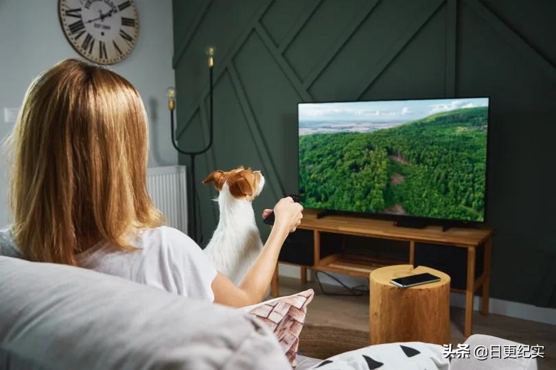 狗晚上听到一点声音就叫怎么制止,宠物狗发出呜呜叫到底是什么原因