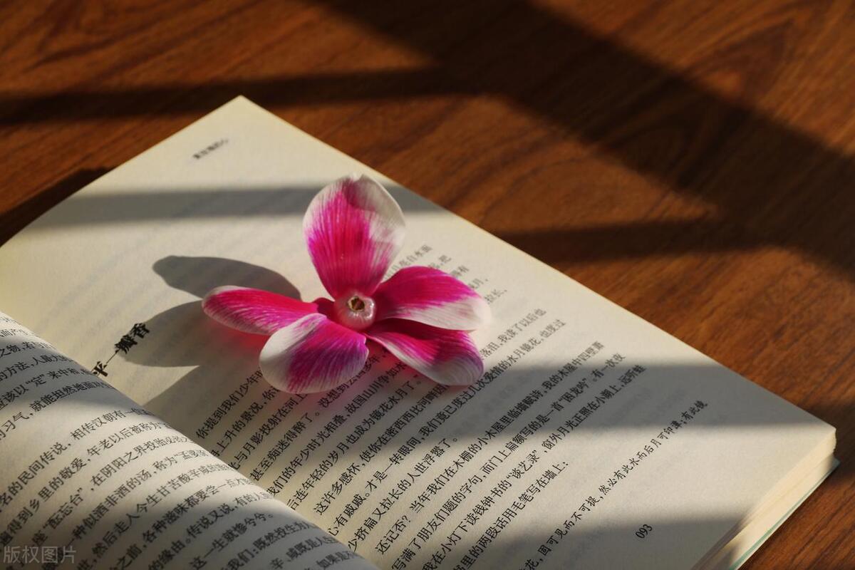 写网文小说需要了解和掌握的知识,网文新手写什么类型小说好