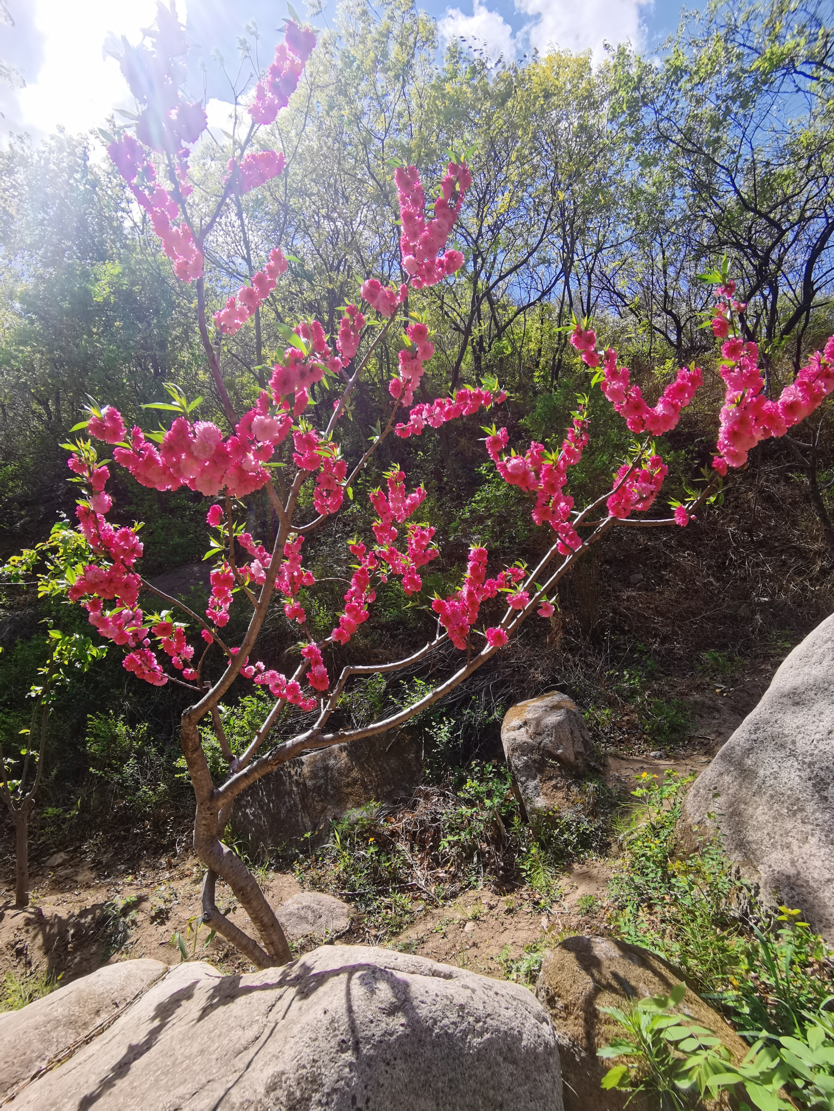 黄花城水长城旅游攻略,行走万里长城之旅