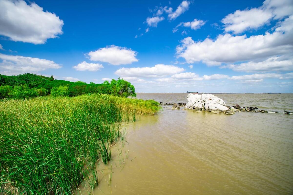 上海风景最美的公园,上海最好玩漂亮的七大公园