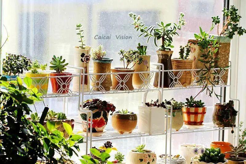 露天小阳台打造小花园效果图,卧室开放式小阳台怎么打造花园