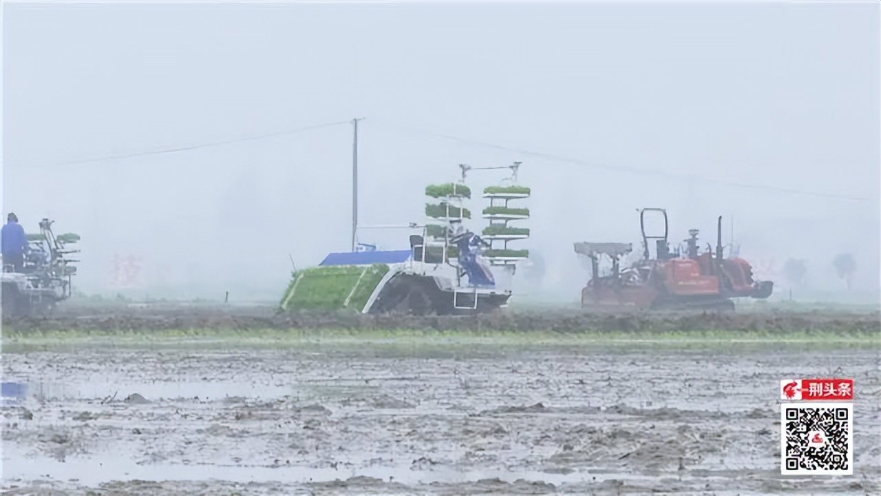 从发展实践看乡村振兴,沿红色足迹探索乡村振兴密码
