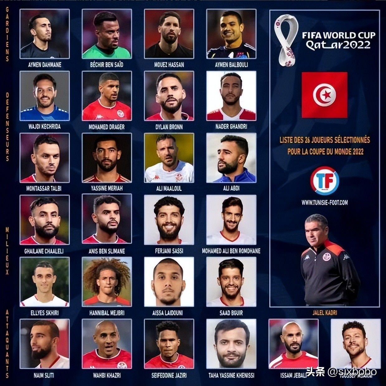 2022卡塔尔世界杯32强排名,2022年卡塔尔世界杯塞尔维亚队