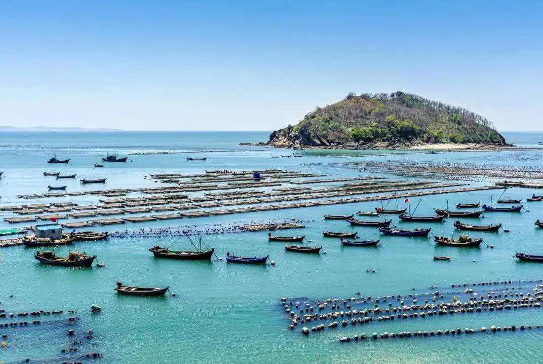 大连是哪座城市的,大连到底算几线城市