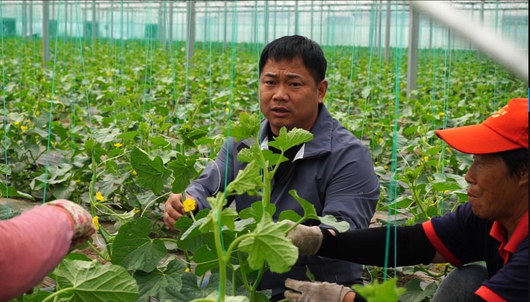 【干事创业强担当】刘天民:乡村振兴路上的领路人