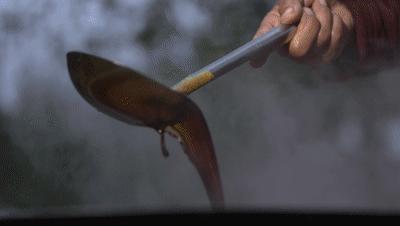 农村种梨销售,农村种梨怎么赚钱