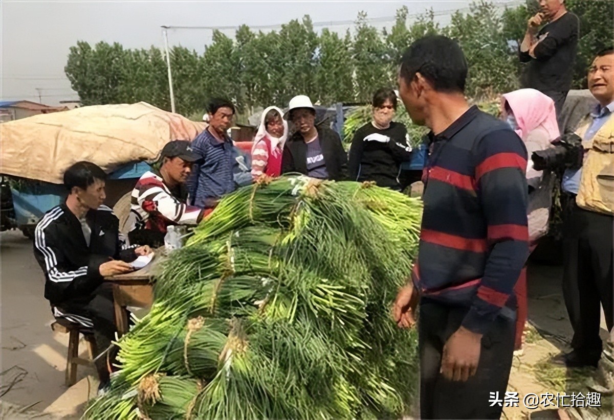 蔬菜批发价突破2元1斤,蔬菜突然猛涨价