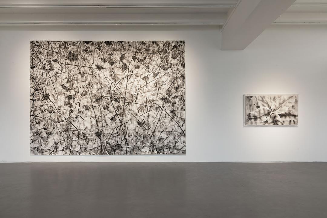 巨川,你好!|艺术栗子