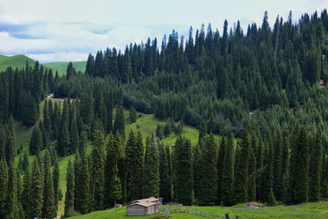 夏天凉快风景好又有水的旅游景点,夏天旅游景点哪里最好玩