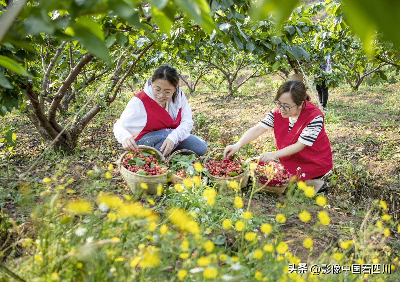 刘国兴的2022年:冬去春来,愿岁月静好(上集)