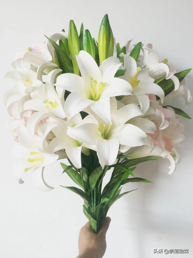 母亲节背后的历史,母亲节为什么要送洋甘菊康乃馨