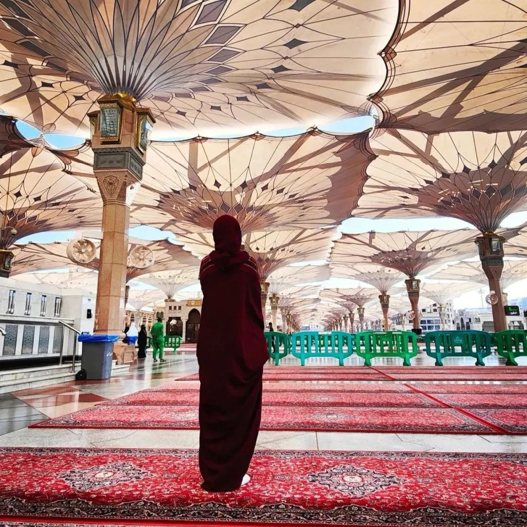 沙特阿拉伯为什么是最神秘的国家,沙特阿拉伯一个神秘的国家