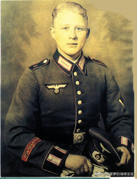 霍尔姆盾章二战德国,二战德国军奖章