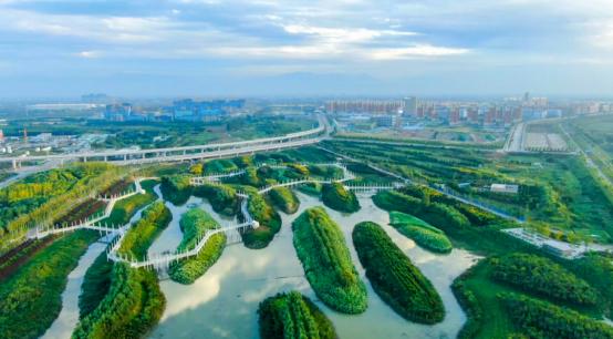 当千年长安，遇上百廿交大！西安交通大学：雨润风暖盛唐景，且待君同览！