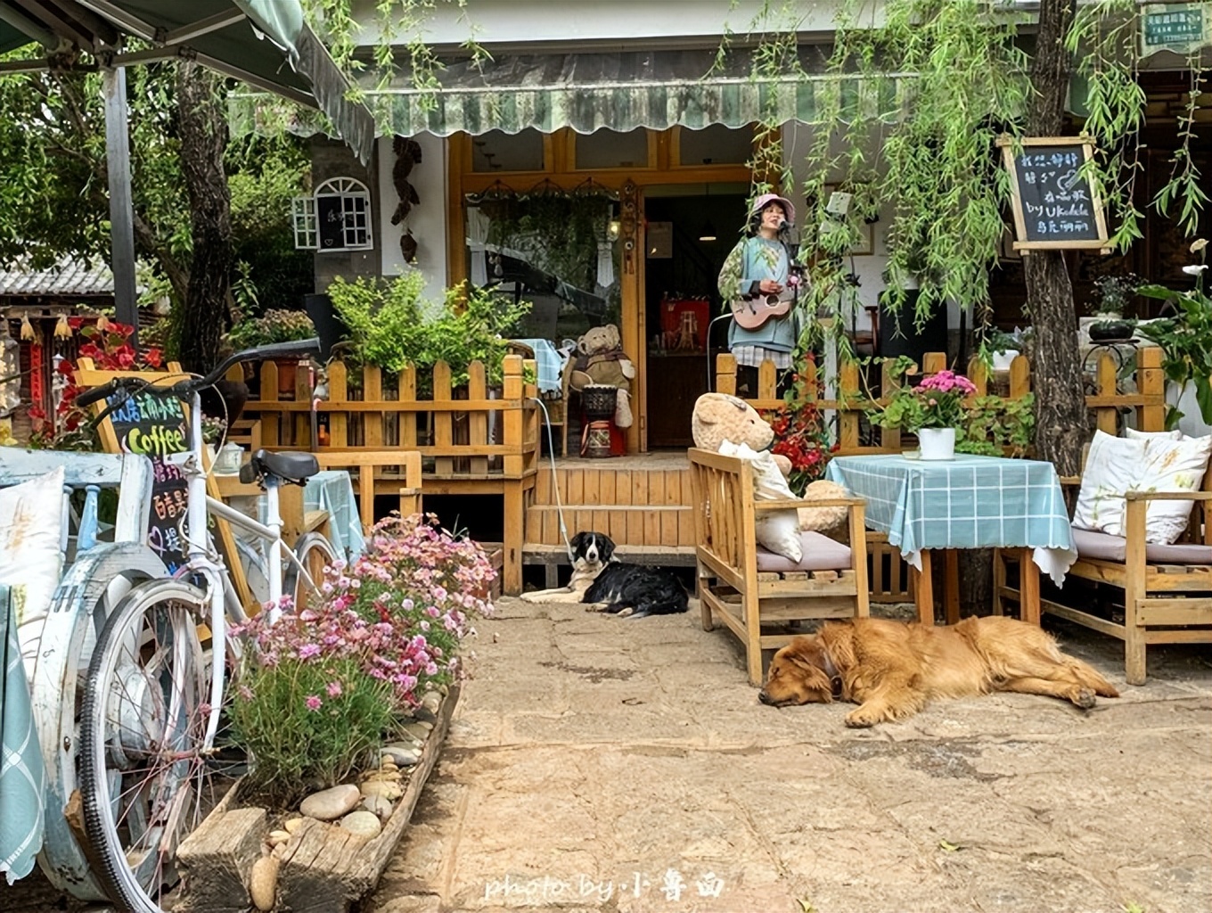 玩转云南自由行,昆明大理丽江6天5晚游多少钱