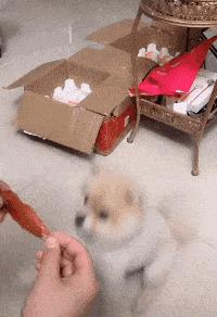 “是小蛇出了轨，还是青蛙劈了腿？”这是现实版的美杜莎？哈哈