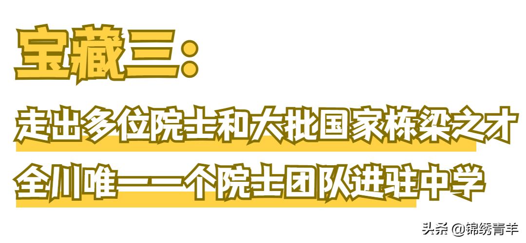 树德协进中学与树德关系,树德协进中学基地班如何