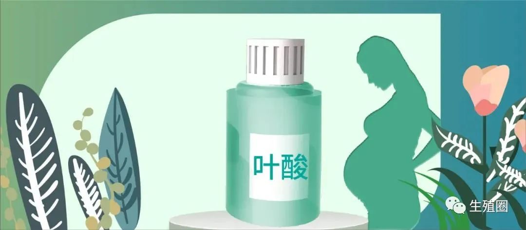 为什么叶酸可以防畸形,叶酸防止畸形率研究